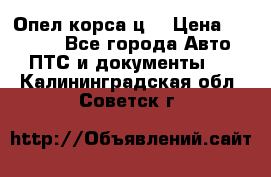 Опел корса ц  › Цена ­ 10 000 - Все города Авто » ПТС и документы   . Калининградская обл.,Советск г.